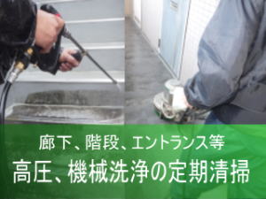 定期清掃　床洗浄