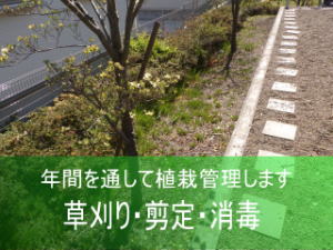 草刈り　枝切
