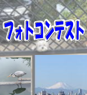 フォトコンテスト